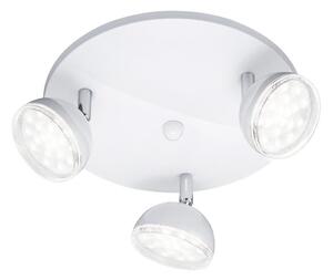 Trio - LED Bodové svietidlo BOLOU 3xLED/3,8W/230V