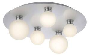 Trio - LED RGB Stmievateľné stropné svietidlo DICAPO 5xLED/3W/230V 3000-5000K + DO