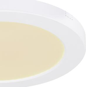 Stropné LED svietidlo LASSE 2 biela