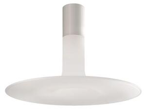 Stmievateľná stropná lampa Louis