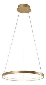 Leuchten Direkt 11522-12 - LED Luster na lanku CIRCLE LED/19W/230V