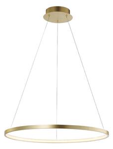 Leuchten Direkt 11524-12 - LED Luster na lanku CIRCLE LED/28,5W/230V