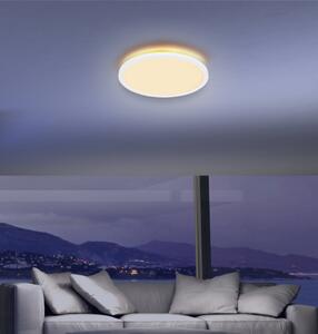 Stropné LED svietidlo SAPANA 1 biela/opál