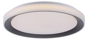 Leuchten Direkt 14659-18 - LED RGB Stmievateľné svietidlo LOLA LED/24W/230V + DO