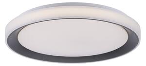 Leuchten Direkt 14659-18 - LED RGB Stmievateľné svietidlo LOLA LED/24W/230V + DO