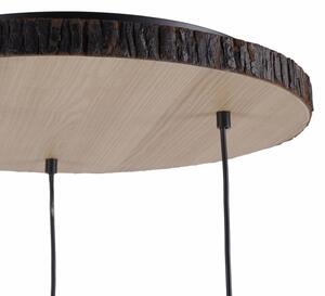 Leuchten Direkt 11236-79 - Luster na lanku BARK 3xE27/40W/230V