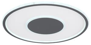 Stropné LED svietidlo JACK 1 biela/grafit