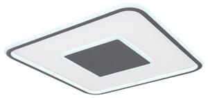 Stropné LED svietidlo JACK 2 biela/grafit