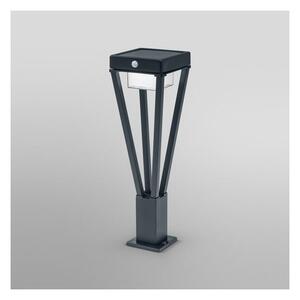 Ledvance - LED Vonkajšia solárna lampa so senzorom BOUQUET LED/6W/3,7V IP44