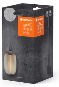 Ledvance - Luster na lanku PENDULUM NEEDLE 1xE27/15W/230V