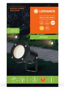 Ledvance - LED Vonkajšia lampa NAUT SPIKE LED/2W/12V IP44