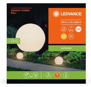 Ledvance - LED Vonkajšia lampa BALL LED/2W/12V IP44