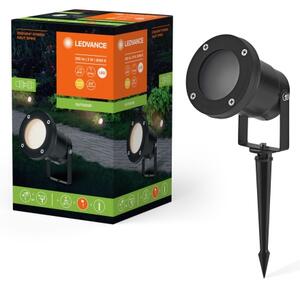 Ledvance - LED Vonkajšia lampa NAUT SPIKE LED/2W/12V IP44