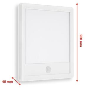 Telefunken 313806TF-LED Vonkajšie svietidlo so senzorom LED/15W/230V IP44