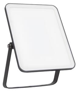 Ledvance - LED Vonkajší reflektor FLOODLIGHT ESSENTIAL LED/30W/230V IP65