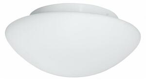 Searchlight - Kúpeľňové stropné svietidlo FLUSH 1xE27/60W/230V IP44