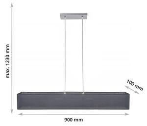 Luster na lanku CAROLINE 2xE14/40W/230V