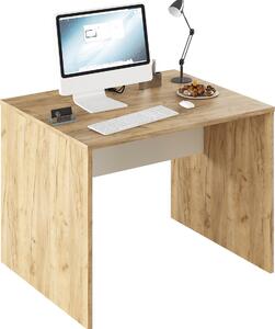 Kondela Písací stôl Rioma Typ 12 - dub artisan / biela