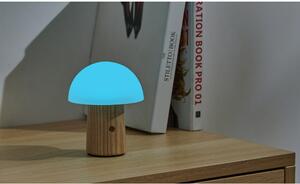 Stmievateľná stolová lampa v prírodnej farbe so skleneným tienidlom (výška 13 cm) Alice – Gingko