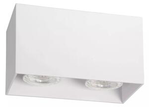 Lucide 09101/02/31 - Bodové svietidlo BODI 2xGU10/50W/230V