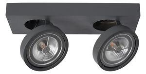 Lucide 09920/20/36 - LED Stmievateľné bodové svietidlo NENAD AR111 2xG53/10W/230V