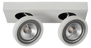 Lucide 09920/20/31 - LED Stmievateľné bodové svietidlo NENAD AR111 G53/2x10W/18V