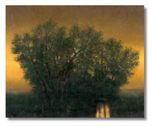 Obraz Ladislav Medňanský - Podvečer - S (40x30cm) 49€
