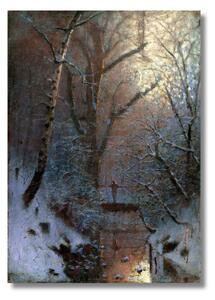 Obraz Ladislav Medňanský - Zimná noc - S (40x30cm) 49€