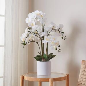 Eglo 428024 - Umelá rastlina v kvetináči HYUGA 65x50 cm orchidea