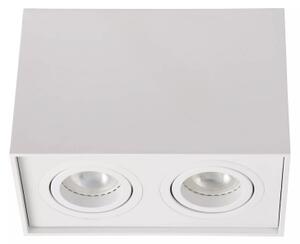 Lucide 22953/02/31 - Bodové svietidlo TUBE 2xGU10/50W/230V biela