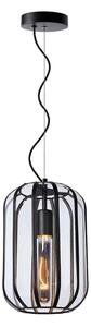 Lucide 25409/01/30 - Luster na lanku FERN 1xE27/60W/230V