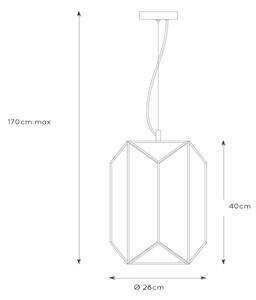Lucide 25407/01/30 - Luster na lanku FERN 1xE27/60W/230V