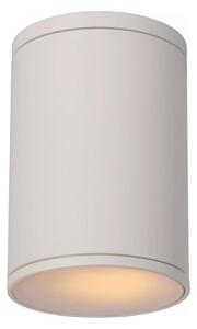 Lucide 27870/01/31 - Kúpeľňové stropné svietidlo TUBIX 1xE27/24W/230V IP54