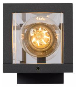 Lucide 27885/02/30 - Vonkajšie nástenné svietidlo CLAIRE 2xE27/15W/230V IP54