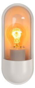 Lucide 29897/01/31 - Vonkajšie nástenné svietidlo CAPSULE 1xE27/15W/230V IP54