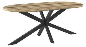 ZÁHRADNÝ STÔL, drevo, kov, 200/76/100 cm Ambia Garden - Série záhradného nábytku, Online Only