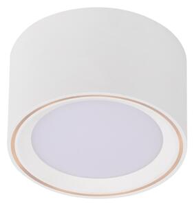 Nordlux - LED Stmievateľné bodové svietidlo FALLON LED/5,5W/230V biela