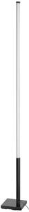STOJACIA LAMPA, 2/2/150 cm Eglo - Online Only bytové doplnky, Online Only
