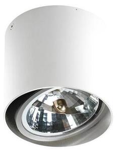 Azzardo AZ1356 - Stropné svietidlo ALIX 1xG53/50W/230V/12V