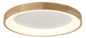 Azzardo AZ2698 - LED stropné svietidlo SILVAM LED/50W/230V