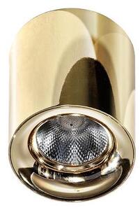 Azzardo AZ2846 - LED Stropné svietidlo MANE LED/10W/230V
