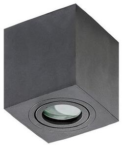 Azzardo AZ2878 - Kúpeľňové stropné svietidlo BRANT 1xGU10/50W/230V IP44