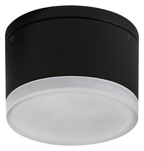 Azzardo AZ4333 - LED Vonkajšie stropné svietidlo APULIA LED/10W/230V IP54