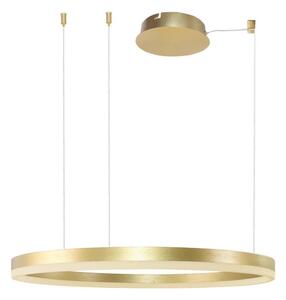 Azzardo AZ4961 -LED Stmievateľný luster na lanku HALO LED/56W/230V pr. 80 cm zlatá