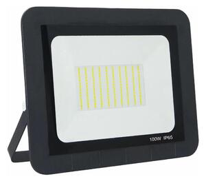 LED Vonkajší reflektor LED/100W/230V 6500K IP65