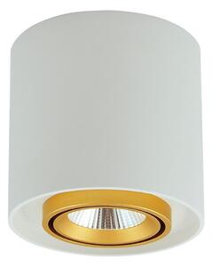 LED Bodové svietidlo XENO LED/15W/230V biela 1200lm