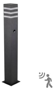 Vonkajšia lampa so senzorom TEKSAS 1xE27/12W/230V IP44 74 cm grafit