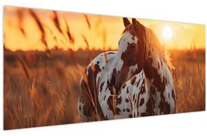 Obraz - Kôň pri západe slnka (120x50 cm)