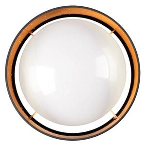 LED Stropné svietidlo TULUZA LED/24W/230V pr. 40 cm čierna