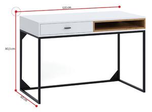 Písací stôl OTYL, 120x80,5x60, biela/dub artisan